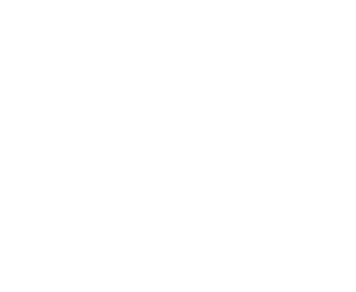 Kirsch Logo White